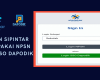 Cara Login SIPINTAR PIP untuk Sekolah, Bisa Pakai NPSN atau SSO Dapodik