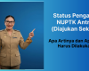 Status Pengajuan NUPTK Antrian (Diajukan Sekolah), Apa Artinya dan Apa yang Harus Dilakukan?