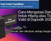 Cara Mengatasi Data Guru Induk Hilang atau Tidak Valid di Dapodik 2026