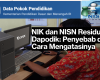 NIK dan NISN Residu di Dapodik: Penyebab dan Cara Mengatasinya